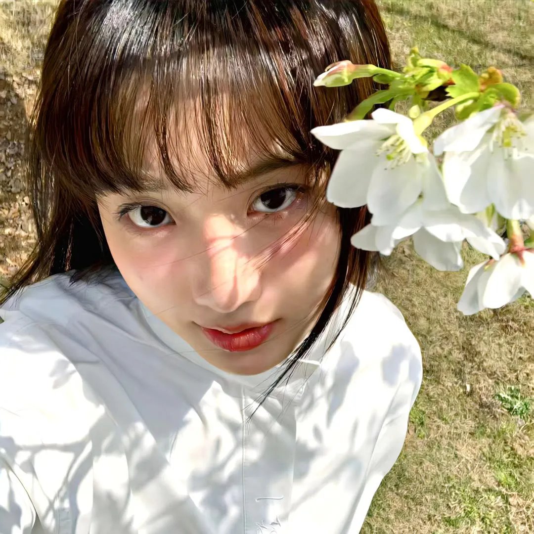 又是一年山林绿
